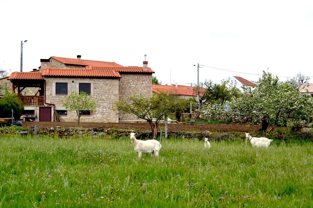 Carya Tallaya - Casas De Campo Vale das Eguas Ngoại thất bức ảnh